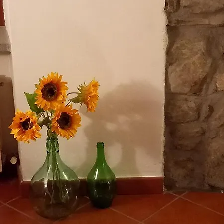 Mia Casa In Verrucola Vakantiehuis *